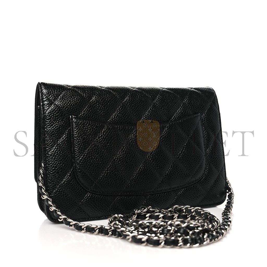 Ch*el classic wallet on chain silver hardware ap0250 y01480 c3906 （19.2*12.3*3.5cm）